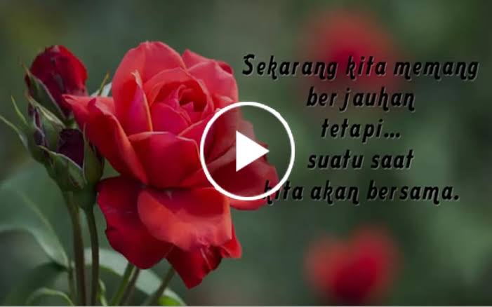 30+ Pilihan Kata Kata Video Motivasi, Romantis, Bijak, Dan Lucu