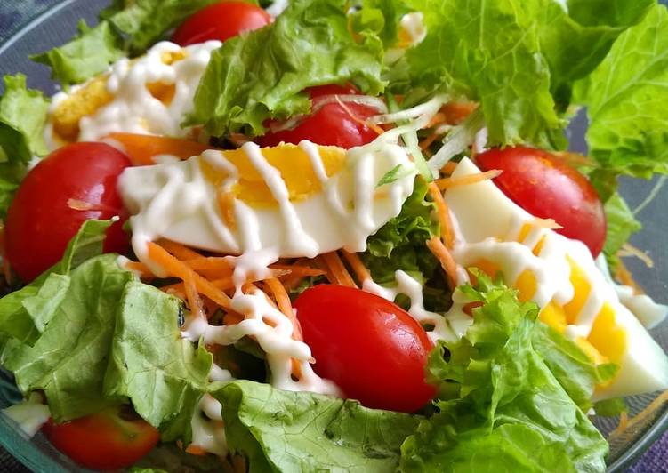 √ 5+ Resep dan Cara Membuat Salad Sayur Sederhana yang Sehat