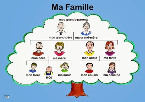 Kosa Kata Bahasa Prancis Berbagai tema Lengkap Penting Dipelajari