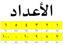 Angka Dalam Bahasa Arab Dari 1-100 Lengkap Beserta Arab-Latinnya