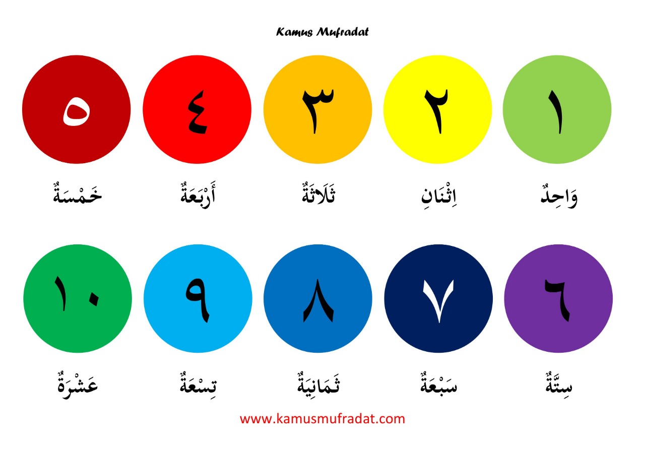 Angka Dalam Bahasa Arab Dari 1-100 Lengkap Beserta Arab-Latinnya