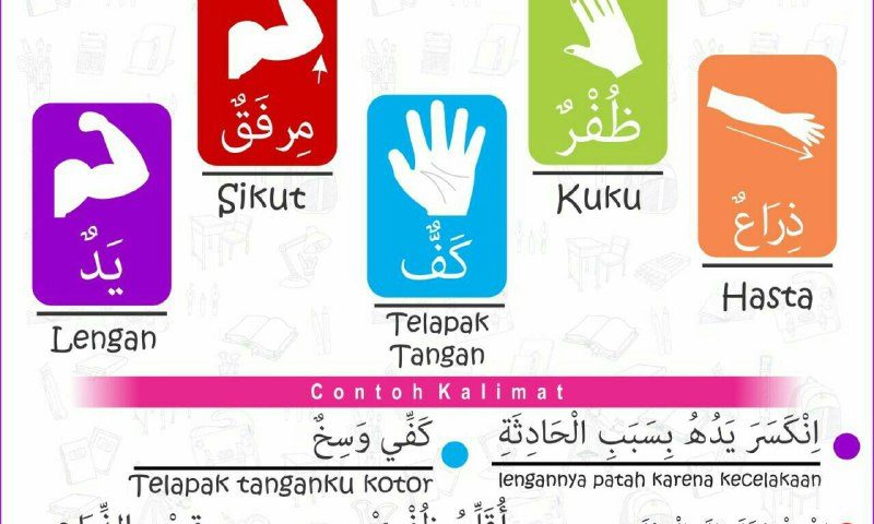 Kumpulan Bahasa Arab Anggota Tubuh Lengkap Untuk Pemula