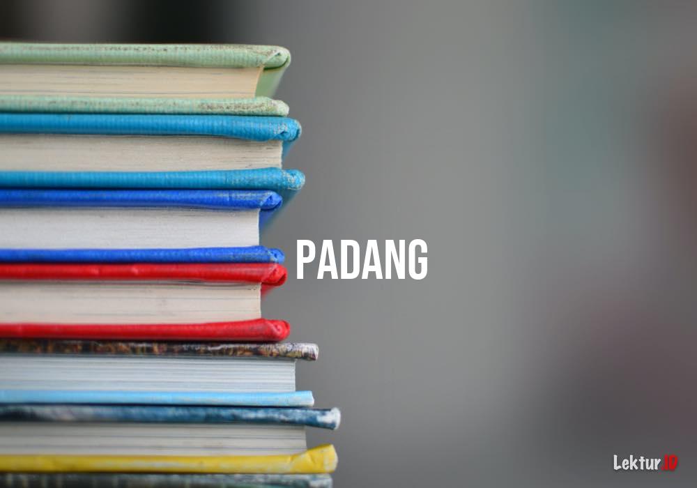 50+ Kosa Kata Bahasa Padang Beserta Tips Jitu Mempelajarinya