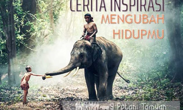 3 Cerita Inspiratif Singkat Yang Membangkitkan Semangat Hidupmu