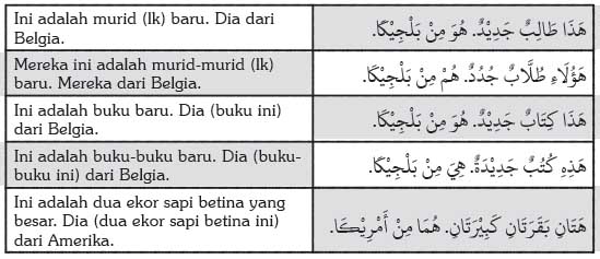 50 Contoh Kalimat Bahasa Arab Penting Lengkap Mudah Dipahami