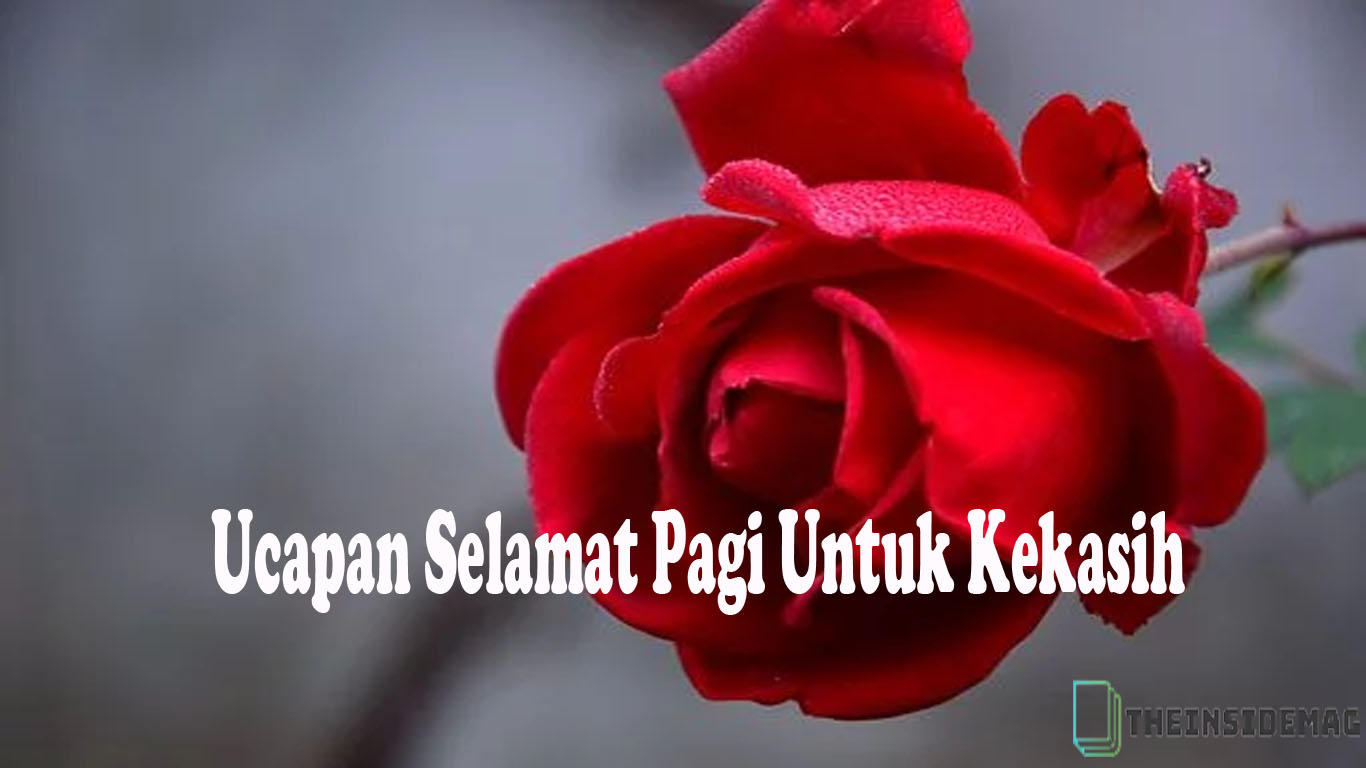 Ucapan selamat pagi bahasa Arab?  Ucapan Selamat Pagi begitu penting untuk kita semua. Selamat pagi adalah sapaan yang menyenangkan untuk mengawali hari. Selamat pagi adalah usaha menyambut hari dengan semangat dan perasaan suka cita.  Pada kesempatan kali ini penulis akan mengulas mengenai 10 ucapan selamat pagi bahasa arab terbaik. Sebagaimana kita tahu, ucapan selamat pagi dalam bahasa arab adalah salah satu ucapan selamat pagi dengan menggunakan bahasa arab sebagai perantaranya.  Ucapan selamat pagi dalam bahasa arab bisa memiliki berbagai rangkaian kalimat menyesuaikan dengan orang yang dituju. Ucapan selamat pagi bahasa arab juga bisa menjadi suatu latihan dalam kebahasaan tersendiri.  Dalam kesempatan kali ini penulis akan mengulas mengenai ucapan selamat pagi bahasa arab terbaik menurut versi penulis.  Harapannya, pembaca bisa menemukan referensi atau varian ucapan selamat pagi yang bisa digunakan. Selain itu, ucapan selamat pagi bahasa arab ini juga bisa menjadi medium kita berlatih menggunakan bahasa arab untuk tujuan-tujuan tertentu.  Penulis memohon maaf, apabila ada kesalahan dalam penulisan dan arti yang nantinya bisa pembaca sampaikan kritik atau sarannya di kolom komentar yang telah disediakan. Pilihan ucapan selamat pagi bahasa arabnya adalah sebagai berikut.  Contoh 10 Ucapan Selamat Pagi Bahasa Arab Terbaik  Penulis menyusunnya dalam berbagai tema dan kategori. Terkait siapa yang menjadi tujuan dari ucapan selamat pagi dalam bahasa arabnya tersebut.  contohnya seperti ucapan selamat pagi bahasa arab untuk kekasih, guru, teman, sahabat, dan lain-lain. semoga pilihan ucapan bahasa arab yang penulis susun bisa memberikan manfaat untuk kita semua.  Terlebih, pembaca juga bisa mengembangkan pilihan ucapan tersebut dengan ide-ide dan kreatifitasnya tersendiri. Sebab, ucapan selamat pagi bahasa arab sebenarnya masih sangat luas sekali.  Mengenai pilihan 10 contoh ucapan bahasa arab terbaik menurut penulis, penjabarannya adalah sebagai berikut di bawah ini :  Ucapan Selamat Pagi Bahasa Arab Untuk Kekasih  صباح الخير حبيبي نأمل أن يكون هذا الصباح صباحًا جيدًا لنا. لنبدأ الصباح بابتسامة وشعور سعيد. دعونا نطأ أقدامنا على صباح الخير يا حبيبي. نرحب بحرارة بالعالم بحماس.  Latin :  sabah alkhyr habibiun namal 'an yakun hdha alsabah sbahana jydana lana. linabda alsabah biaibtisamat washueur saeid. daeuna nata 'aqdamina ealaa sabah alkhyr ya habibi. nurahib bihararat bialealam bihamasin.  Terjemah :  Selamat Pagi Kekasihku. Semoga pagi ini akan menjadi pagi yang baik untuk kita. Mari mengawali pagi dengan senyuman dan perasaan bahagia. Mari melangkahkan kaki menyambut pagi yang baik ini kekasihku. Kita sambut hangat dunia dengan semangat.  Ucapan Selamat Pagi Bahasa Arab Untuk Pujaan Hati  صباح الخير يا حبيبي هذا الصباح الدافئ مثل ابتسامتك التي يمكن أن تدفئني دائمًا في أي وقت. هذا الصباح الجميل يذكرني دائما بك الذي يعطي دائما الجمال للعالم. آمل أن يمنحك هذا الصباح السعادة حتى يحين الوقت.  Latin :sabah alkhyr ya habyby hdha alsabah alddafi mithl aibtisamatik alty ymkn 'an tadfiani daymana fi 'ayi waqt. hdha alsabah aljamil yadhkarni dayimaan bik aldhy yueti dayimaan aljamal lilealima. amul 'an yamnahak hdha alsabah alsaeadat hataa yahin alwaqt.   Terjemah :  Selamat pagi wahai pujaan hatiku. Pagi yang hangat ini serupa senyumanmu yang selalu bisa menghangatkanku di setiap waktu. Pagi yang indah ini selalu mengingatkanku padamu yang selalu memberikan keindahan untuk dunia. semoga pagi ini akan memberikan kebahagiaan padamu sampai kapanpun waktu berlalu.  Ucapan Selamat Pagi Bahasa Arab Untuk Orang Tua  صباح الخير يا أب وأم. نرجو أن ترافقنا الصحة دائمًا في الاستمتاع بهذا الخير. نرجو أن يكون هذا الصباح الحسن قادرًا على جعلنا دائمًا بشرًا محميين بإله قدير. صباح الخير على كل الخير الذي كنت ستعطيه لي.  Latin :  sabah alkhyr ya 'ab wa'um. narju 'an turafiqana alsihat daymana fi alaistimtae bhdha alkhayr. narju 'an yakun hdha alsabah alhasan qadrana ealaa jaealna daymana bshrana mahmiiyn ba'iilh qadir. sabah alkhyr ealaa kl alkhayr aldhy kunt satuetih ly.  Terjemah :  Selamat Pagi ayah dan ibuku. Semoga kesehatan selalu mengiringi kita dalam menikmati yang baik ini. semoga pagi yang penuh rasa syukur ini mampu menjadikan kita selalu menjadi manusia yang dilindungi oleh tuhan yang maha kuasa. Selamat pagi untuk segala kebaikan yang akan dan telah kalian berikan padaku.  Ucapan Selamat Pagi Bahasa Arab Untuk Sahabat  صباح الخير يا صديقي المفضل لا تدع لك تفوت هذا الصباح الجميل. يقول البعض أنه إذا لم نستيقظ في الصباح ، فإن ثروتنا ستؤكل من الدجاج. لذلك دعونا نكون متحمسين للاستمتاع بهذا الصباح الجميل والدافئ. حظا سعيدا دائما ، أعز صديق لي.  Latin :  Sabah alkhyr ya sadiqi almufadal la tade lak tafawat hdha alsabah aljamil. yaqul albaed 'anah 'iidha lm nastayqiz fi alsabah , fa'iina tharwatana satuakil min aldijaj. ldhlk daeunaan nakun mutahamisin lilaistimtae bhdha alsabah aljamil walddafi. hzaan saeidaan dayimaan , 'aeaz sidiyq li.  Terjemah :  Selamat pagi, sahabatku. Jangan sampai kamu melewatkan pagi yang indah ini. ada yang bilang bahwa kalau pagi kita tidak terbangun maka rezeki kita akan dimakan ayam. Jadi ayo kita bersemangat menikmati pagi yang indah dan hangat ini. semoga sehat selalu ya sahabatku.  Ucapan Selamat Pagi Untuk Teman  صباح الخير يا صديقي مع هذا الصباح ، آمل أن تكون دائمًا بصحة جيدة وازدهارًا. دعونا نرحب بهذا الصباح ، يا صديقي. دعونا نرحب به بابتسامة وسعادة.  Latin : sabah alkhyr ya sadiqi mae hdha alsabah , amul 'an takun daymana bisihat jayidat wazdharana. daeunaan nurahib bhdha alsabah , ya sadyqi. daeuna nurahib bih biaibtisamat wasaeadatin.  Terjemah :  Selamat pagi Temanku. Bersama datangnya pagi ini, aku berharap bahwa kamu selalu sehat dan sejahtera. Mari manyambut pagi yang baik ini temanku. Mari menyambutnya dengan senyuman dan kebahagiaan.  Ucapan Selamat Pagi Untuk Guru  صباح الخير يا معلمي معًا هذا الصباح ، نأمل أن ينعم المعلمون دائمًا بالصحة والبركة لقضاء الوقت طوال اليوم. آمل أن يتم إعطاء المعلم دائمًا القوة والصبر في تعليم هؤلاء الطلاب المشاغبين. شكرا لك يا معلمة ، بسبب جهودك أستطيع أن أفهم الكثير.  Sabah alkhyr ya maelimi meana hdha alsabah , namal 'an yaneam almuelimun daymana bialsihat walbarikat liqada' alwaqt tawal alyawm. amul 'an yatima 'iieta' almuelim daymana alquat walsbr fi taelim hula' altullab almushaghibina. shukraan lak ya maelimat , bsbb juhudik 'astatie 'an 'afahum alkathira.  Terjemah :  Selamat pagi guruku. Bersama pagi ini, semoga guru selalu dikarunai kesehatan dan keberkahan untuk menjalani waktu sepanjang hari. Semoga guru selalu diberikan kekuatan dan kesabaran dalam mengajar murid-murid yang nakal ini. terimakasih guru, karena usahamu aku bisa menjadi banyak mengerti.  Ucapan Selamat Pagi Bahasa Arab Untuk Saudara Jauh  صباح الخير يا أخي لفترة طويلة لم نتحلى بالصبر مع بعضنا البعض. آمل أن تكون بصحة جيدة أينما كنت. معًا هذا الصباح ، أريد أن أسأل كيف حالك وما هو جدولك المزدحم الآن. اتمنى ان تكون كما تتوقع هذا الصباح الجميل يذكرني دائمًا بطفولتنا معًا. حظا سعيدا دائما.  Latin :  Sabah alkhyr ya 'akhi lifatrat tawilat lm natahalaa bialsabr mae bedna albed. amul 'an takun bisihat jayidat 'aynama kunta. meana hdha alsabah , 'urid 'an 'as'al kayf halik wama hu juduluk almuzadahim alan. 'atamanaa 'an takun kama tatawaqae hdha alsabah aljamil yudhkarni daymana bitufulatina meana. hzaan saeidaan dayimaan.  Terjemah :  Selamat pagi, saudaraku. Lama kita tidak berkabar satu sama lain. semoga kamu sehat selalu di tempatmu berada. Bersama pagi ini, aku ingin menanyakan kabarmu dan apa kesibukanmu sekarang. Semoga memang seperti yang kamu harapkan. Pagi yang indah ini selalu mengingatkanku saat masa kecil kita bersama. Semoga sehat selalu ya.  Ucapan Selamat Pagi Untuk Rekan Kerja  صباح الخير يا زملائي في العمل. حظا سعيدا دائما. جنبا إلى جنب مع هذا الصباح اللطيف ، دعنا نذهب للعمل بحماس ومليئة بالأفكار الجديدة. صباح الخير غالبًا ما يجلب السعادة طوال اليوم. لذا ، دعونا نحافظ على الروح.  Latin :  Sabah alkhyr ya zumalayiy fi aleuml. hza saeidaan dayima. jnba 'iilaa janb mae hdha alsabah allatif , daena nadhhab lileamal bihamas wamulayyat bial'afkar aljadidati. sabah alkhyr ghalbana ma yajlib alsaeadat tawal alyawma. lidha , daeunaan nuhafiz ealaa alrwh.  Terjemah :  Selamat pagi rekan kerjaku. Semoga sehat selalu ya. Bersama pagi yang menyenangkan ini, mari kita menjalani kerja dengan semangat dan penuh ide-ide segar. Pagi yang baik seringkali membawa kebahagiaan sepanjang hari. Jadi, mari kita terus semangat.  Ucapan Selamat Pagi Bahasa Arab Untuk Mantan  صباح الخير حبيبتي السابقة. آمل أن تكون سعيدًا أينما كنت. معًا هذا الصباح ، أفتقدك ، وآمل أيضًا. لقد مر وقت طويل منذ أن تحدثنا. أتمنى أن يجلب لك هذا الصباح السعيد دائمًا السعادة الجيدة أيضًا ، يا حبيبتي السابقة.  Latin :sabah alkhyr habibati alsaabiqat. amul 'an takun seydana 'aynama kunta. meana hdha alsabah , 'aftaqaduk , wamal aydana. laqad mara waqt tawil mundh 'an tahadithana. 'atamanaa 'an yajlib lak hdha alsabah alsaeid daymana alsaeadat aljayidat aydana , ya habibatay alsaabiqat.  Terjemah :  Selamat pagi mantan kekasihku. Semoga di manapun kamu berada, kamu selalu bahagia. Bersama pagi ini, aku merindukanmu, dan aku berharap kamu juga. Sudah lama kita tidak bertegur sapa. Semoga pagi yang baik ini selalu memberikan kebahagiaan yang baik juga untukmu ya mantan kekasihku.  Ucapan Selamat Pagi Bahasa Arab Untuk Orang Asing  صباح الخير يا سيدي نرجو أن يكون هذا الصباح صباحاً لطيفاً لنا جميعاً. تشرفت بمقابلتك. دعونا جميعًا نمر بهذا اليوم بحماس.  sabah alkhyr ya sayidi narju 'an yakun hdha alsabah sbahaan ltyfaan lana jmyeaan. tashraft bimuqabalatika. daeuna jmyeana namuru bhdha alyawm bihamasin.  Terjemah :  Selamat Pagi tuan. Semoga pagi ini menjadi pagi yang menyenangkan untuk kita semua. Senang bertemu denganmu. Mari bersama menjalani hari ini dengan semangat.