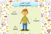 Kumpulan Bahasa Arab Anggota Tubuh Lengkap Untuk Pemula