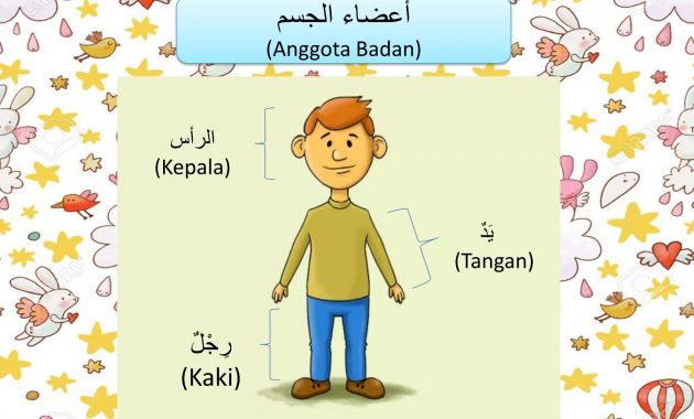 Kumpulan Bahasa Arab Anggota Tubuh Lengkap Untuk Pemula