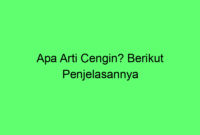 Apa Arti Cengin? Berikut Penjelasannya