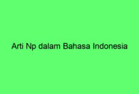 Arti Np dalam Bahasa Indonesia