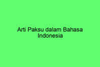 Arti Paksu dalam Bahasa Indonesia