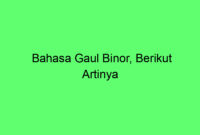 Bahasa Gaul Binor, Berikut Artinya