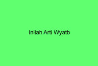 Inilah Arti Wyatb